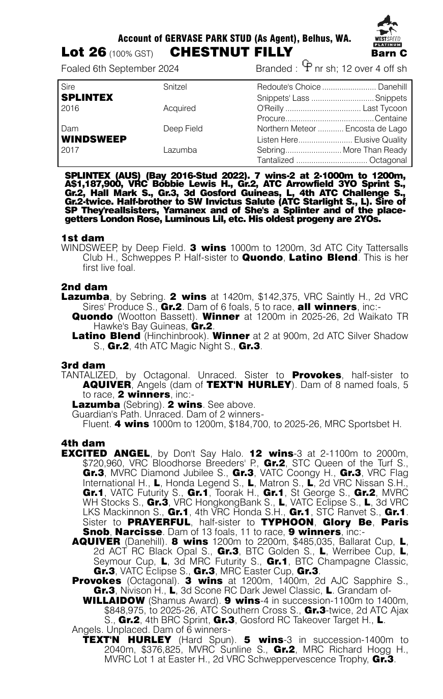 Pedigree - Lot 26