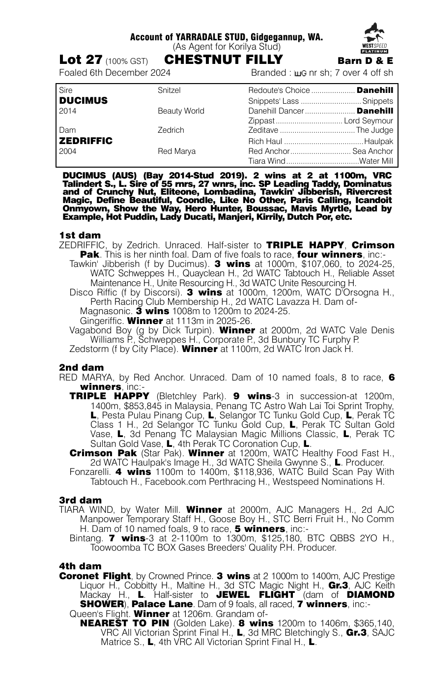 Pedigree - Lot 27