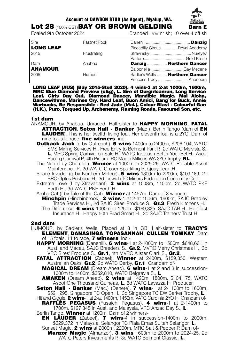 Pedigree - Lot 28
