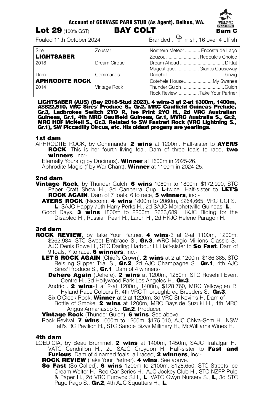 Pedigree - Lot 29