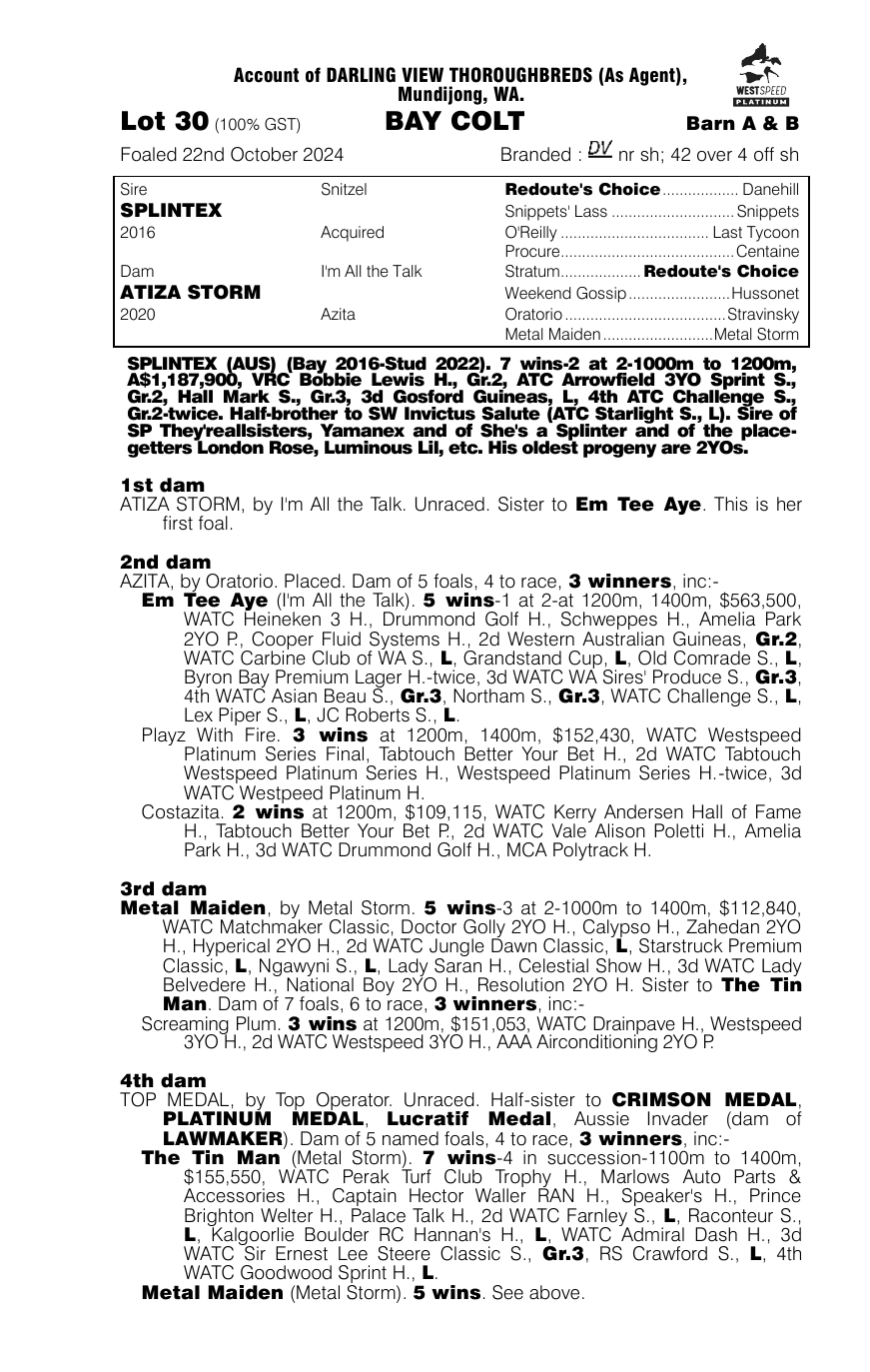 Pedigree - Lot 30