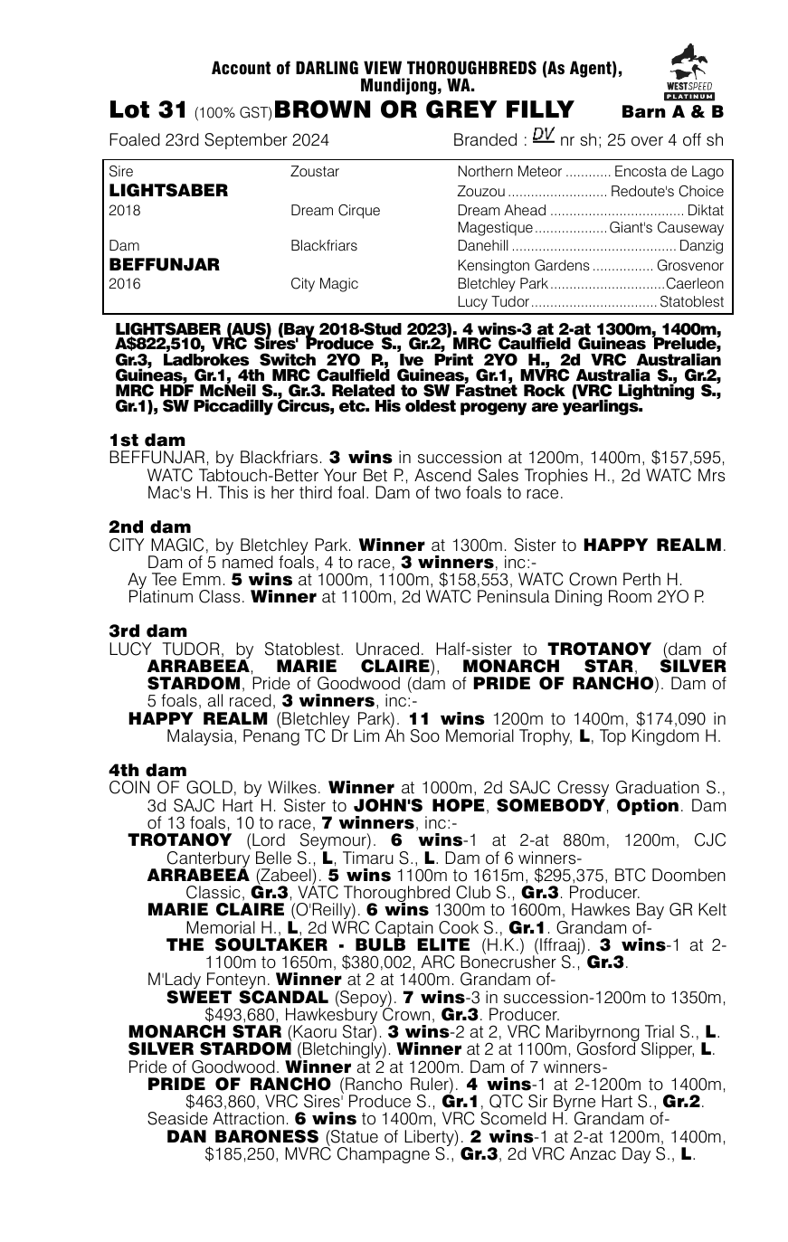 Pedigree - Lot 31