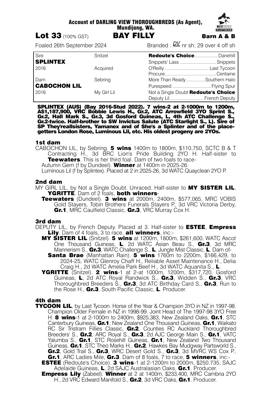 Pedigree - Lot 33