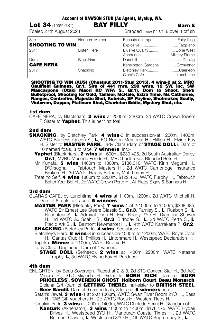 Pedigree - Lot 34