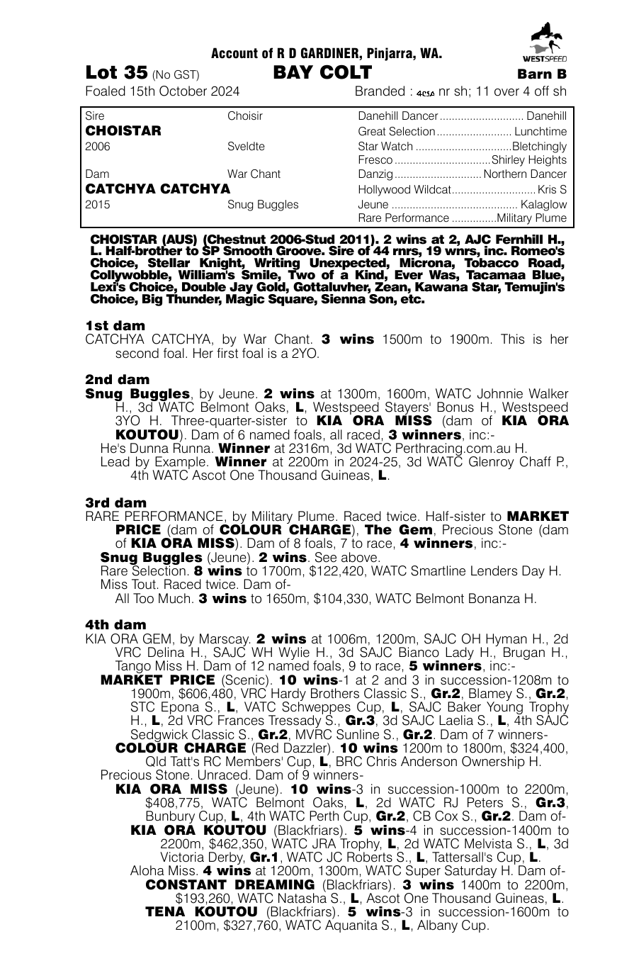 Pedigree - Lot 35