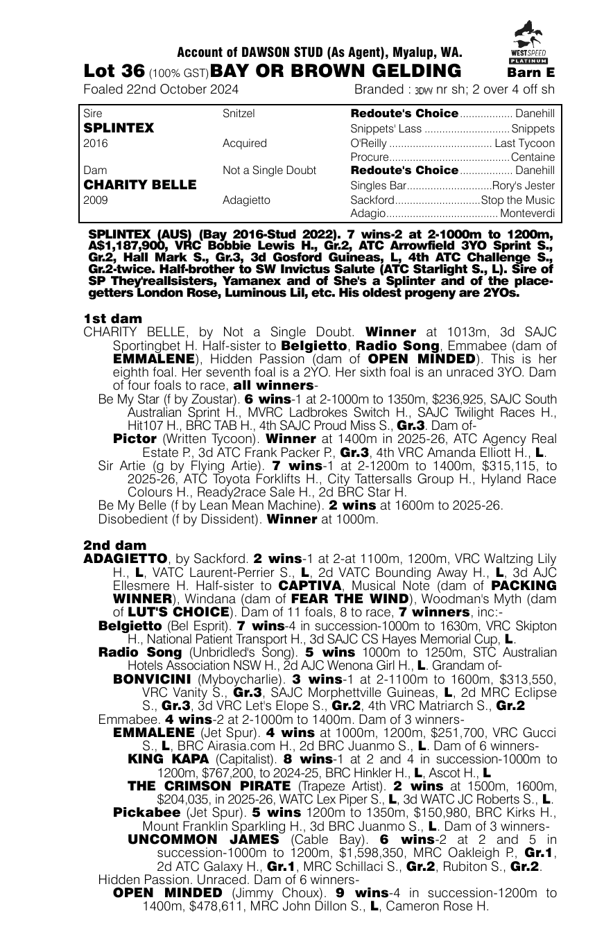 Pedigree - Lot 36