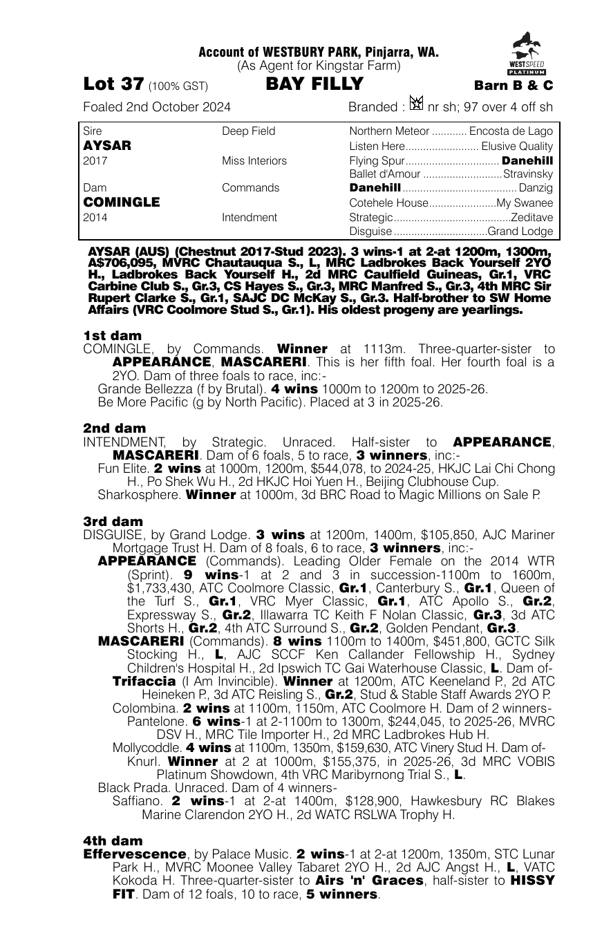 Pedigree - Lot 37