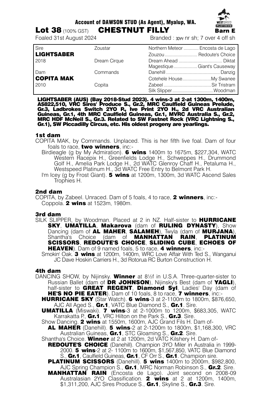 Pedigree - Lot 38