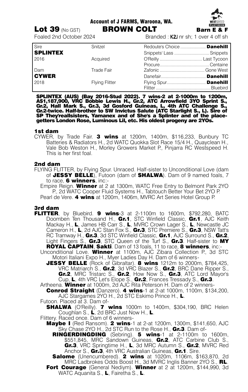 Pedigree - Lot 39