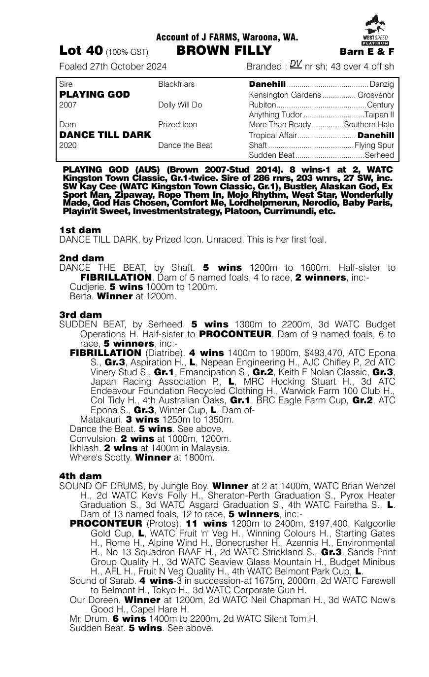 Pedigree - Lot 40