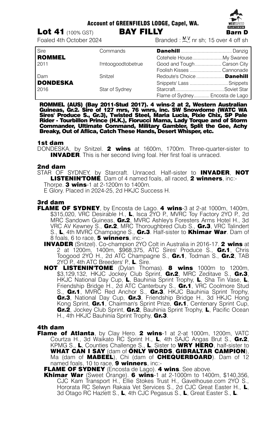 Pedigree - Lot 41