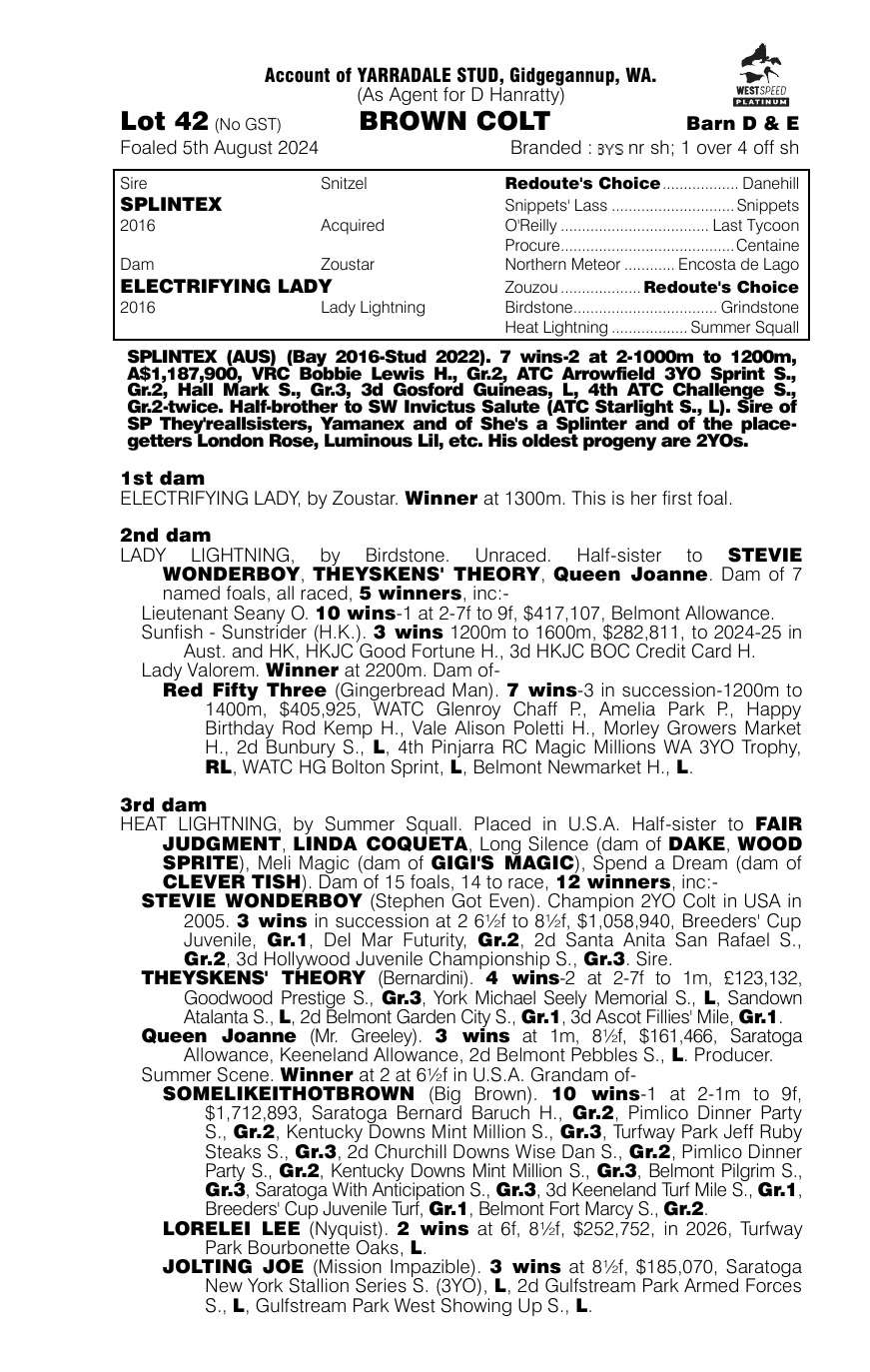 Pedigree - Lot 42