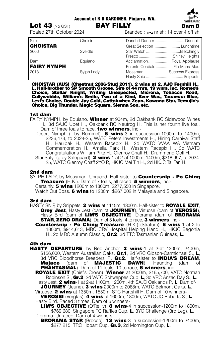Pedigree - Lot 43