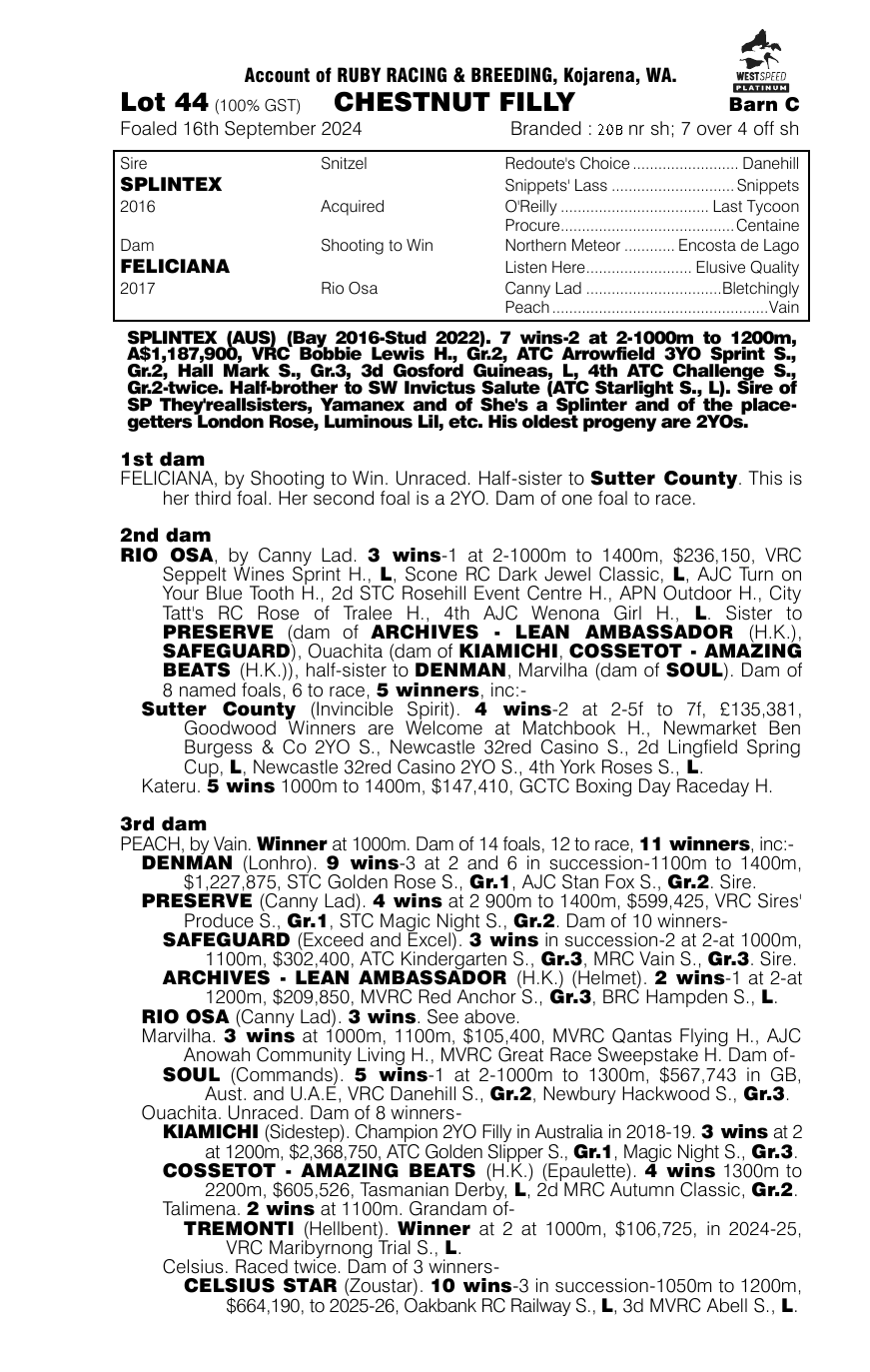 Pedigree - Lot 44