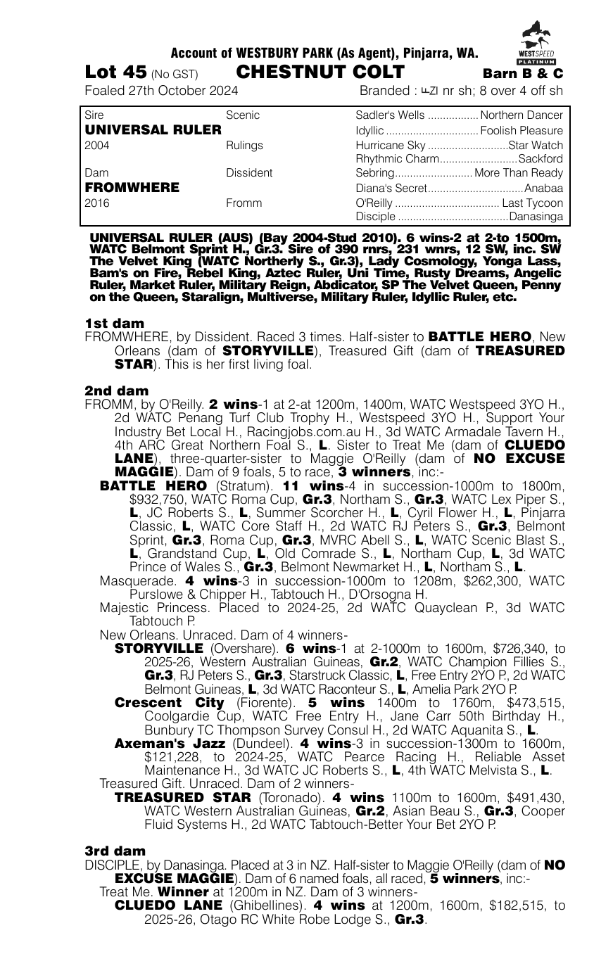 Pedigree - Lot 45