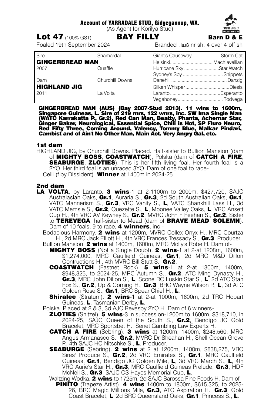Pedigree - Lot 47