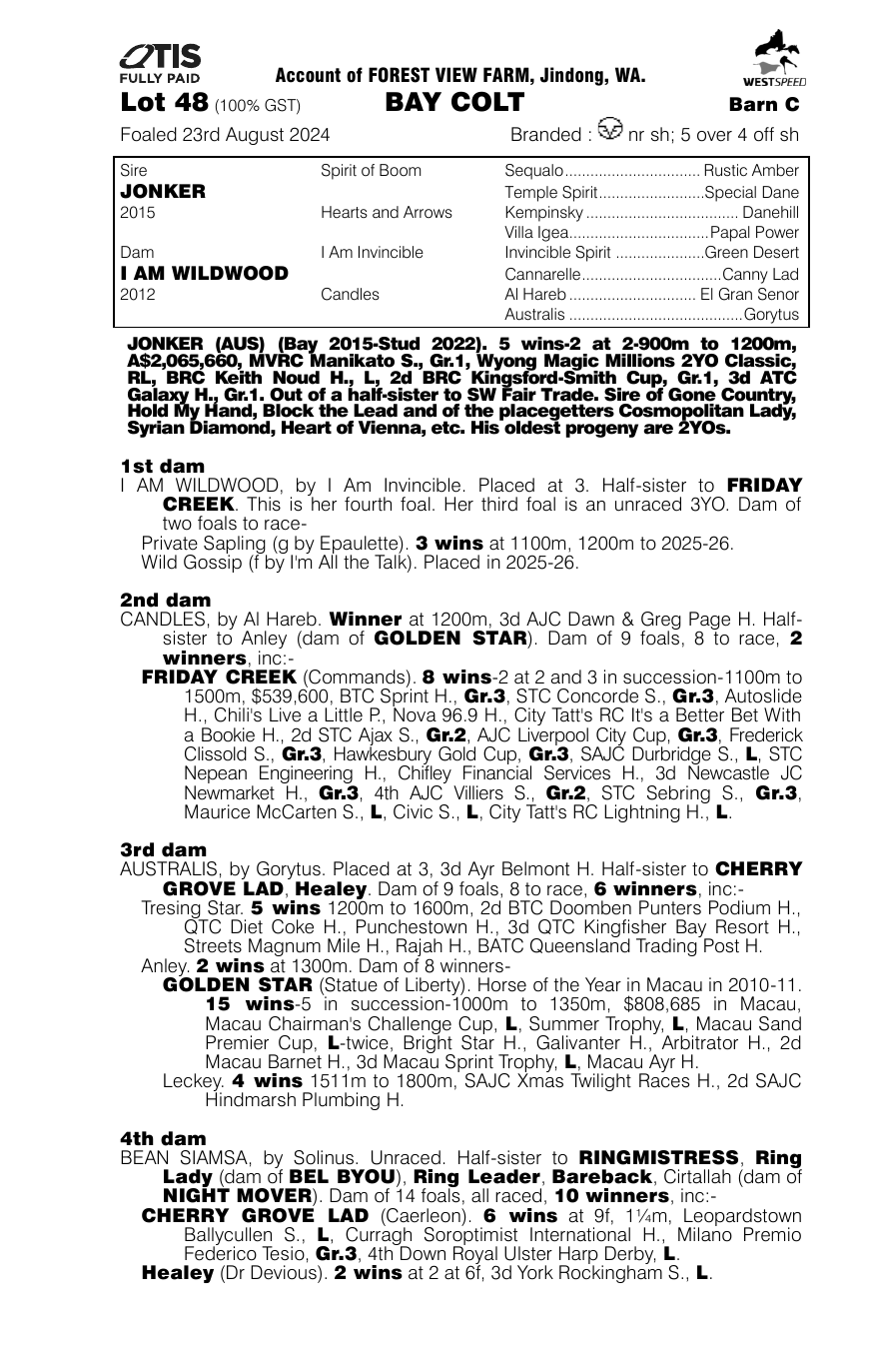 Pedigree - Lot 48