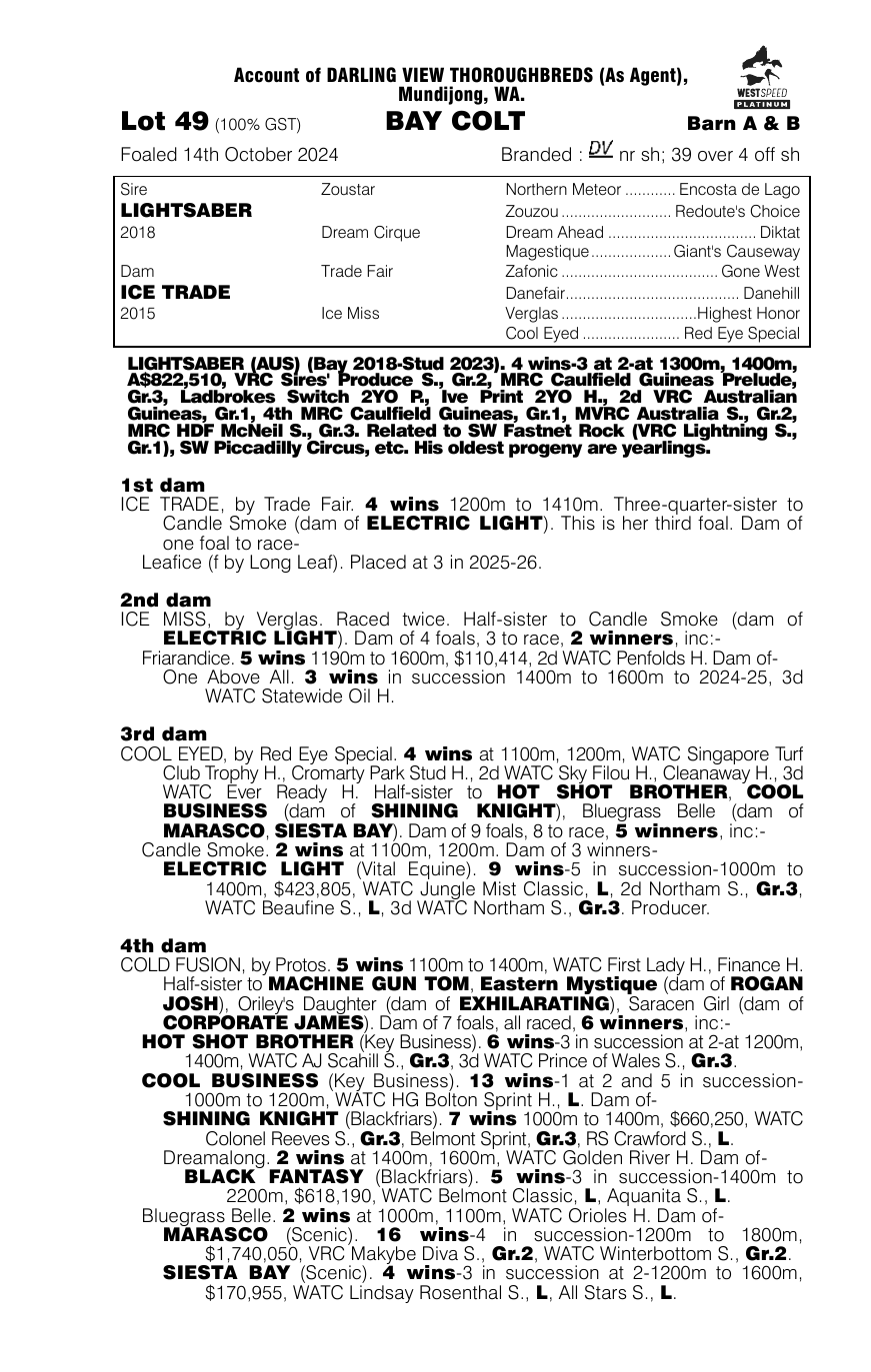 Pedigree - Lot 49