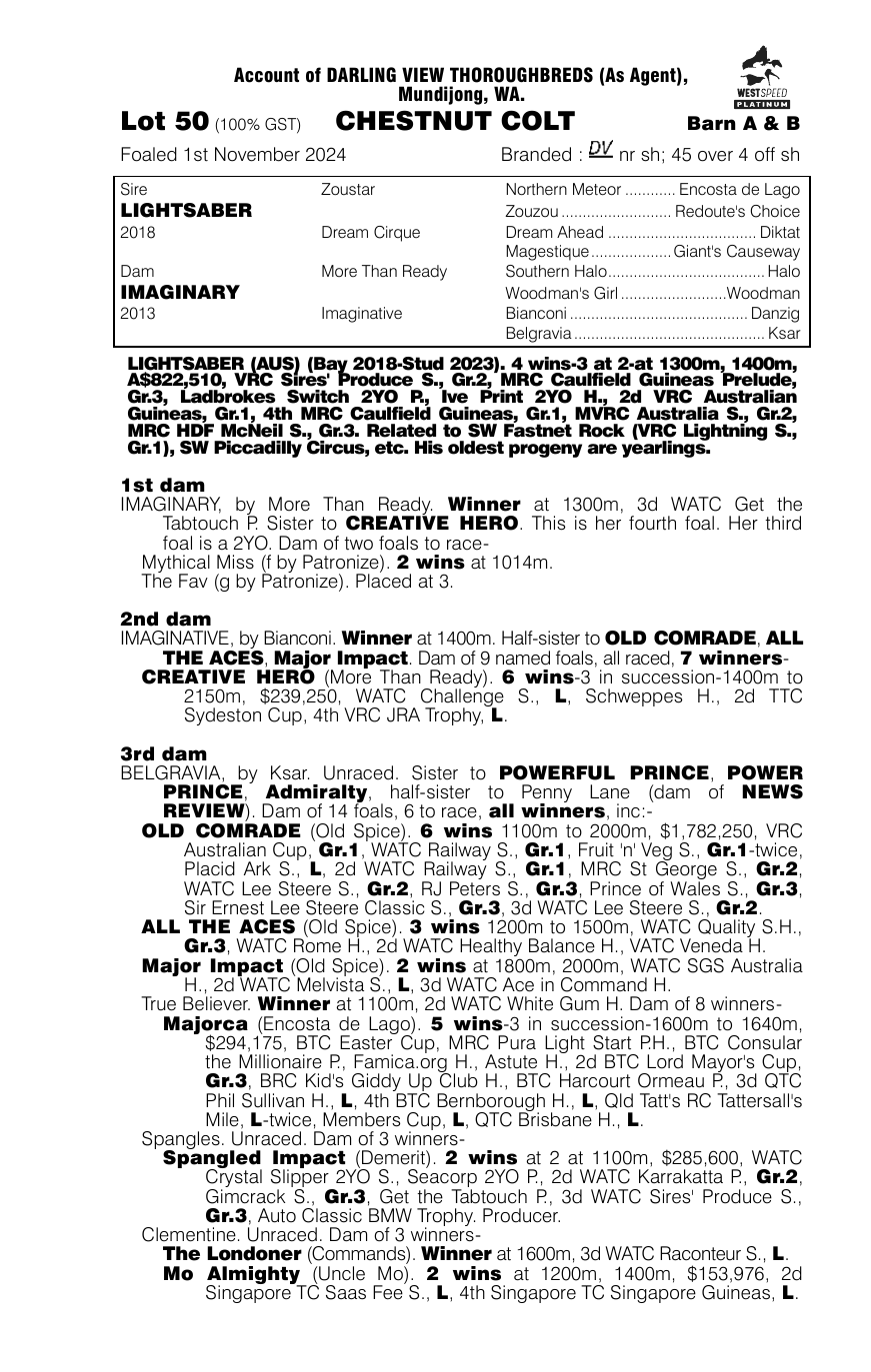 Pedigree - Lot 50