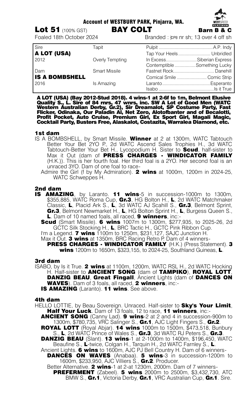 Pedigree - Lot 51
