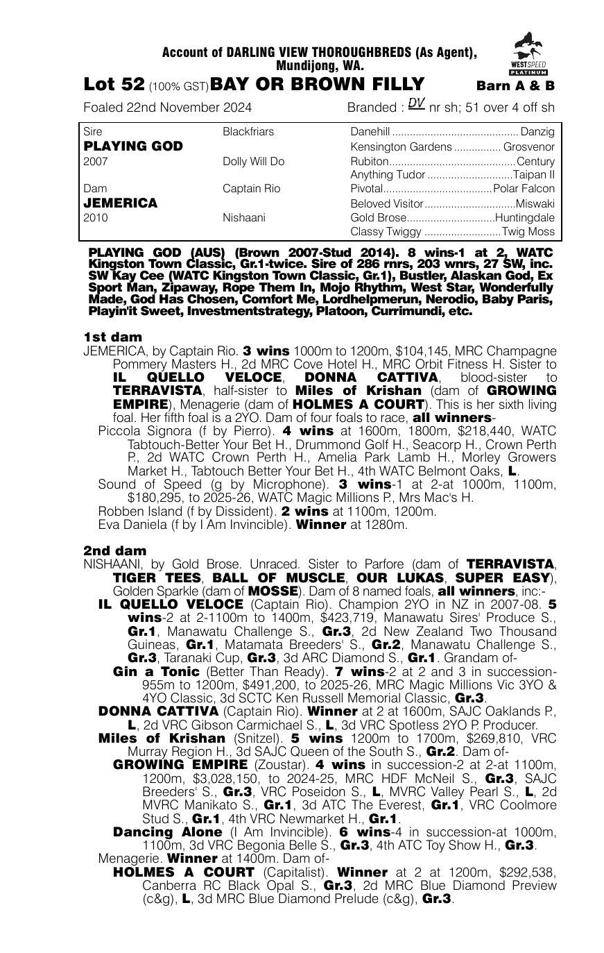 Pedigree - Lot 52