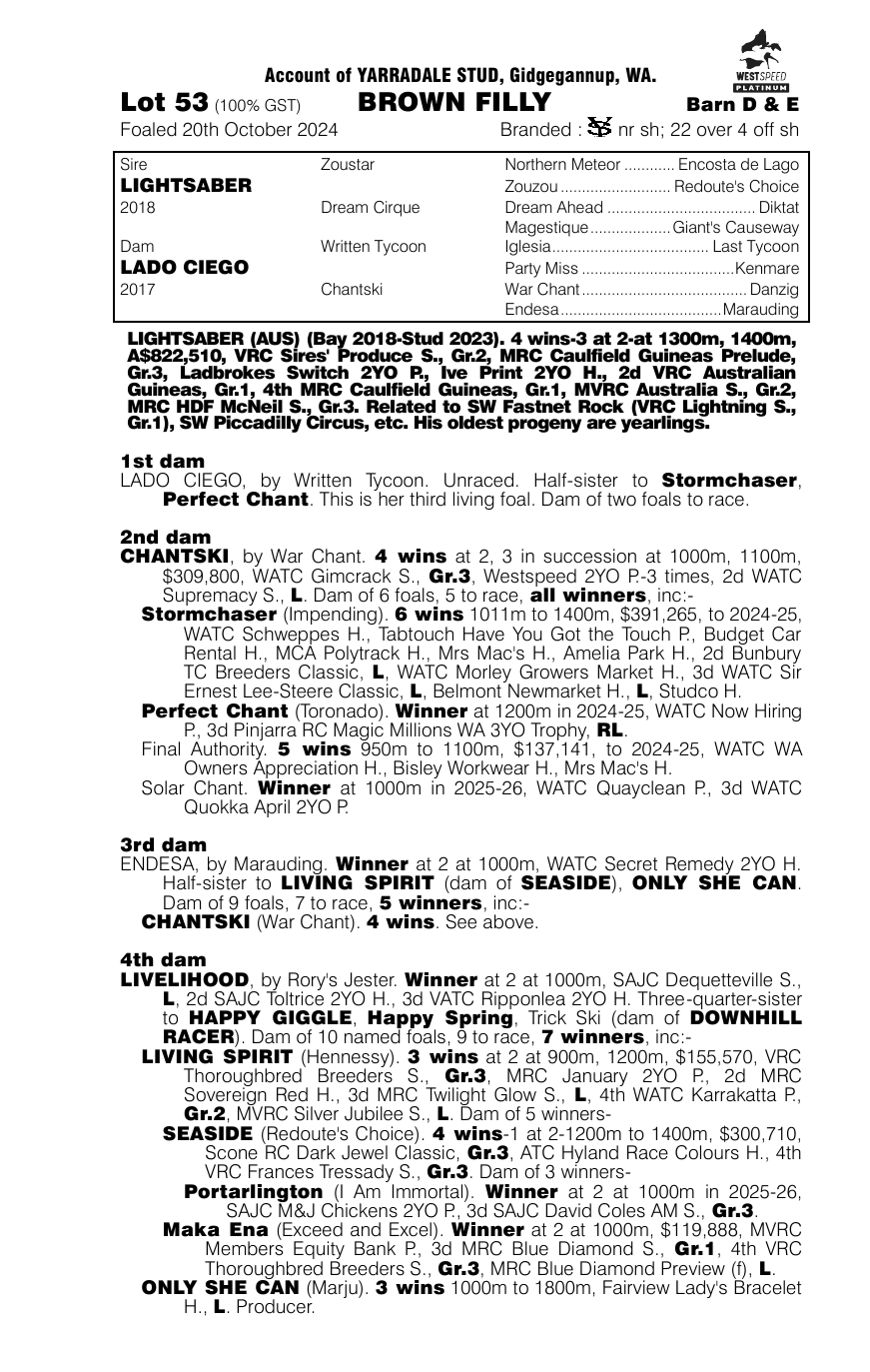 Pedigree - Lot 53
