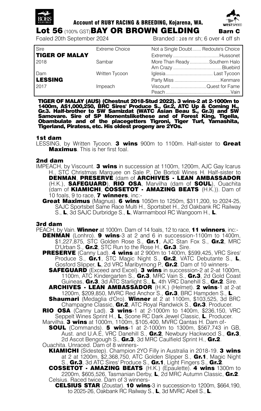 Pedigree - Lot 56