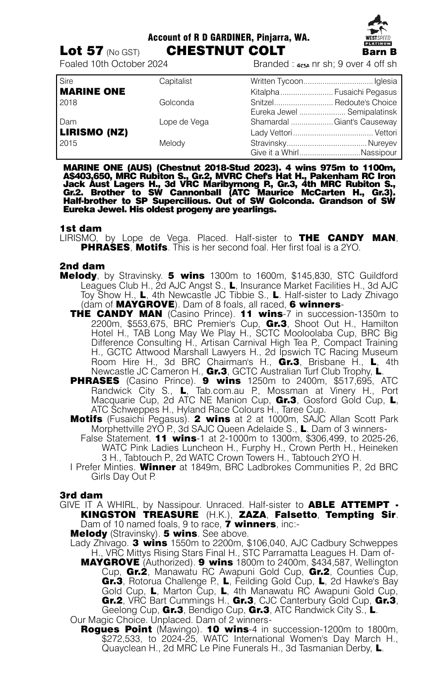 Pedigree - Lot 57