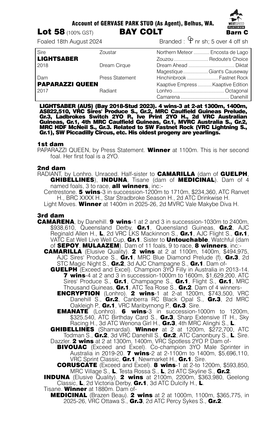 Pedigree - Lot 58