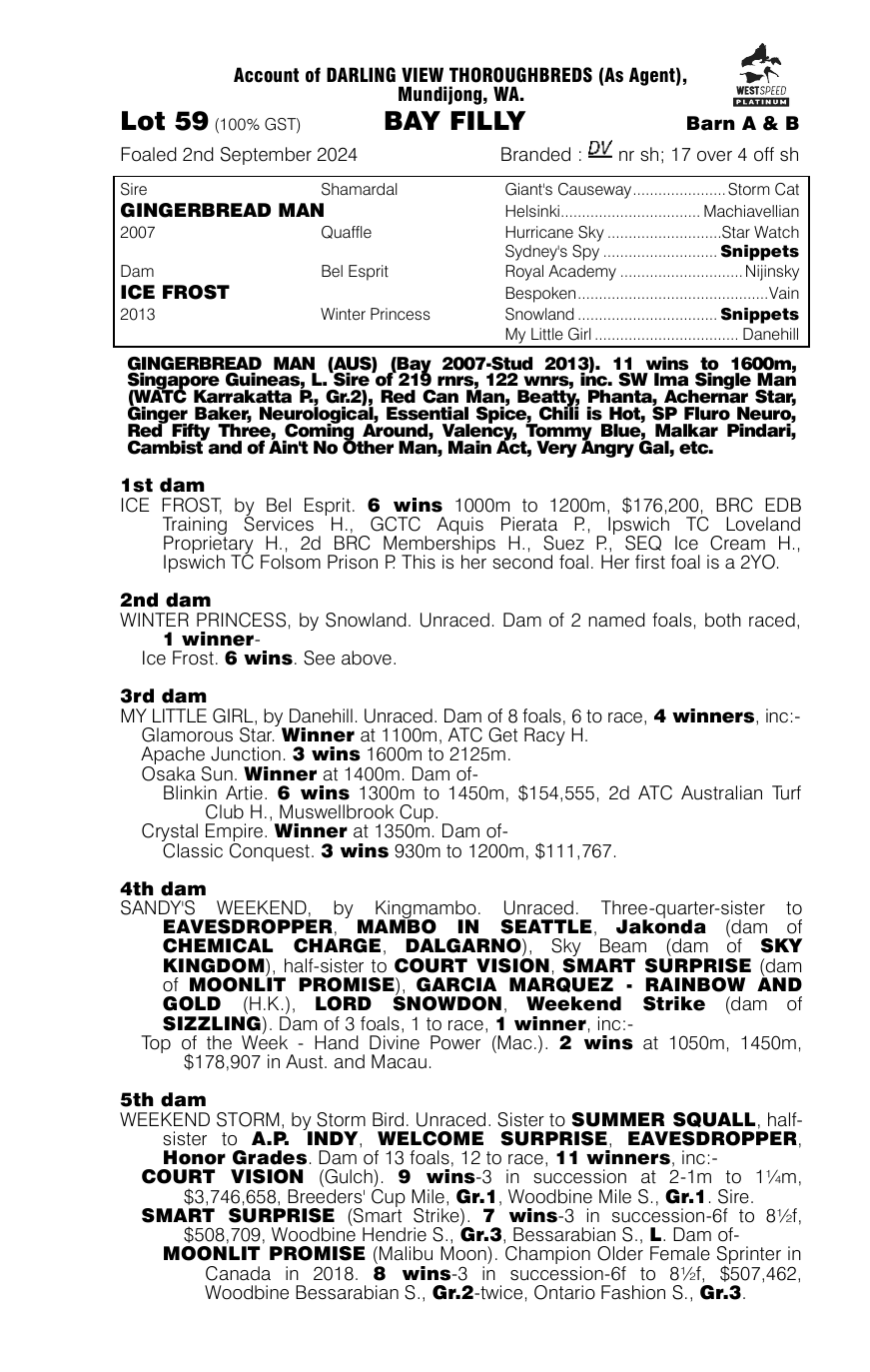 Pedigree - Lot 59