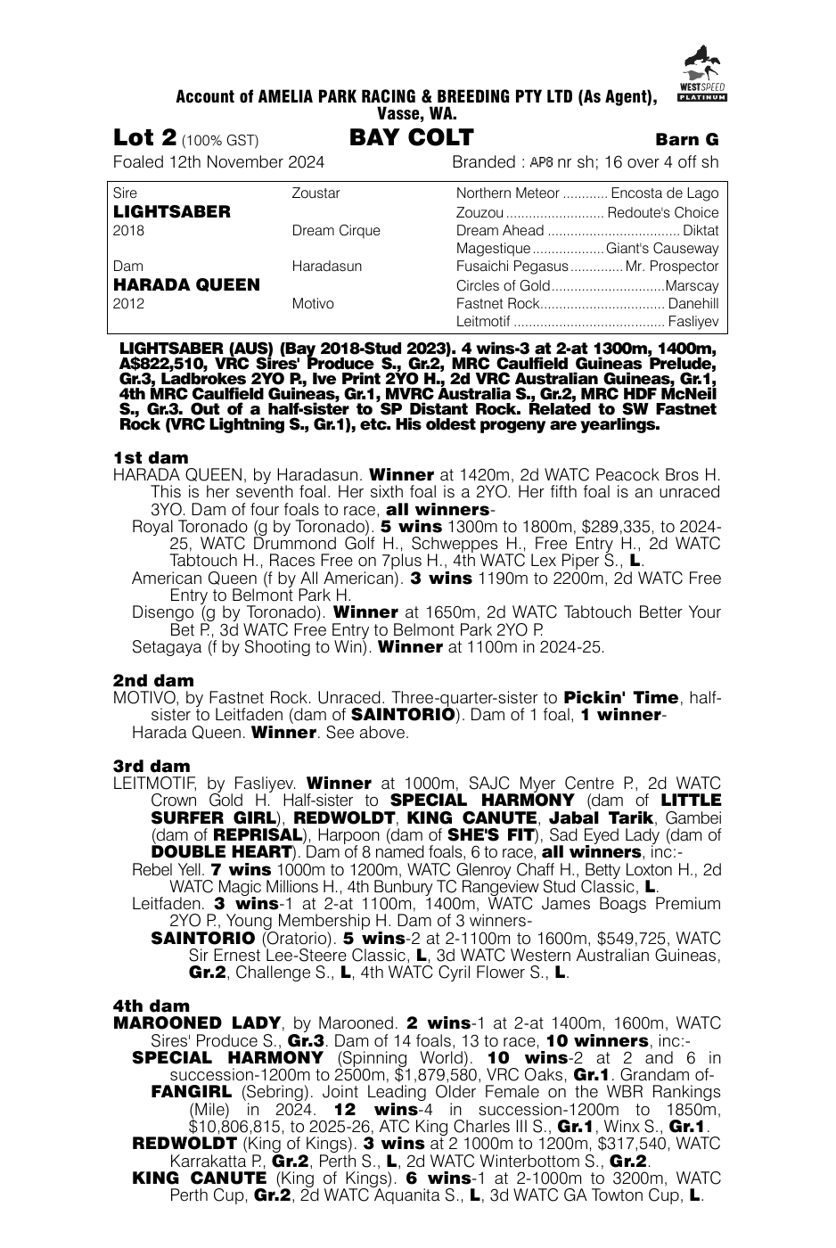 Pedigree - Lot 2