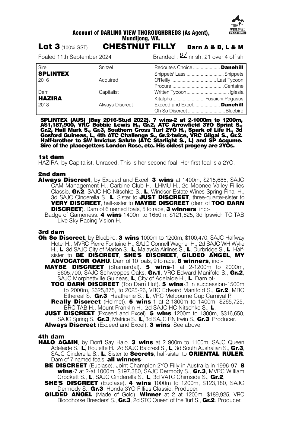 Pedigree - Lot 3