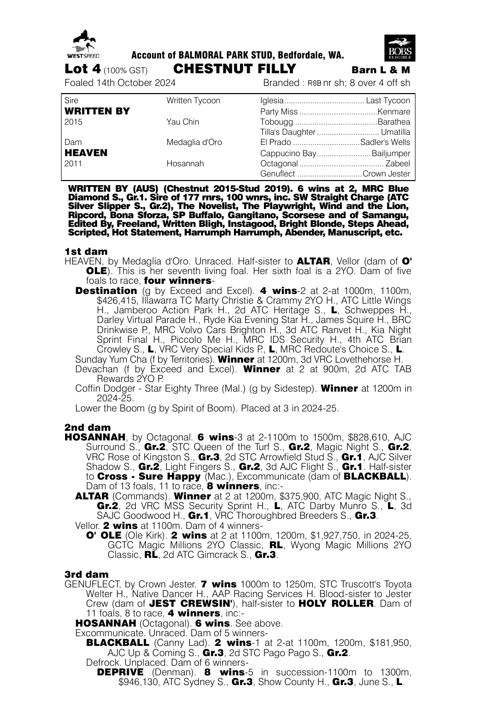 Pedigree - Lot 4