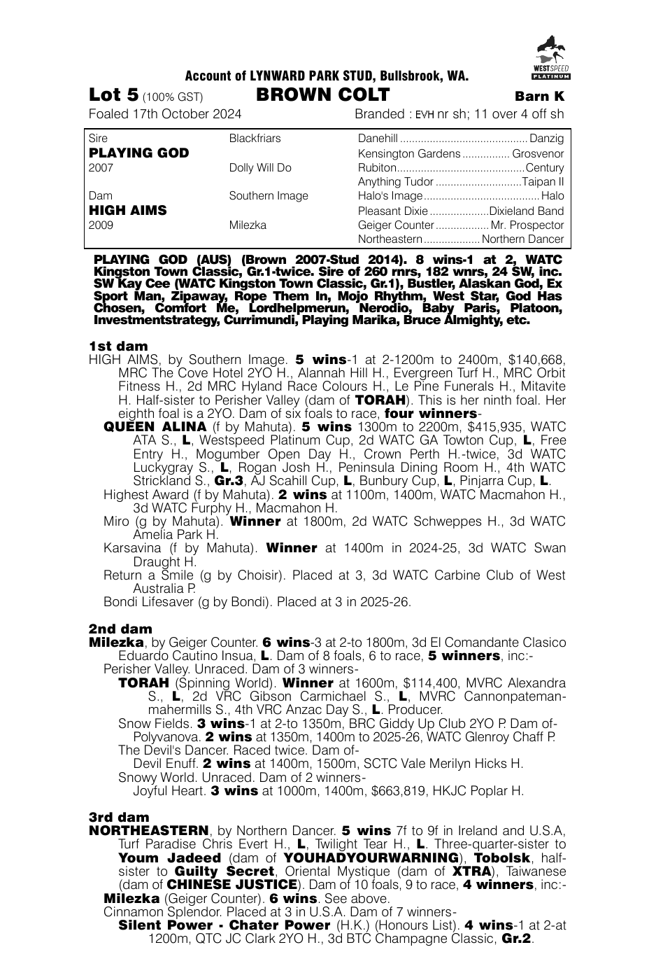 Pedigree - Lot 5