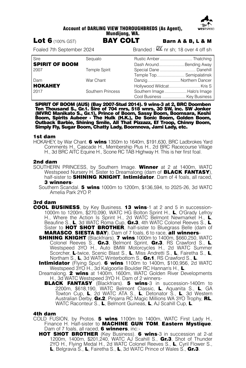 Pedigree - Lot 6