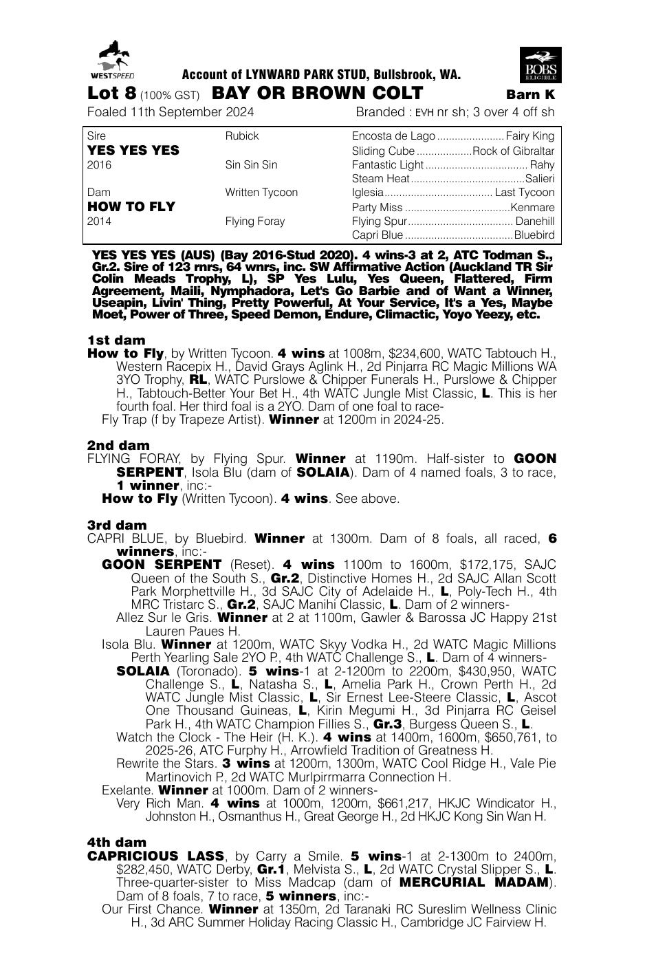 Pedigree - Lot 8