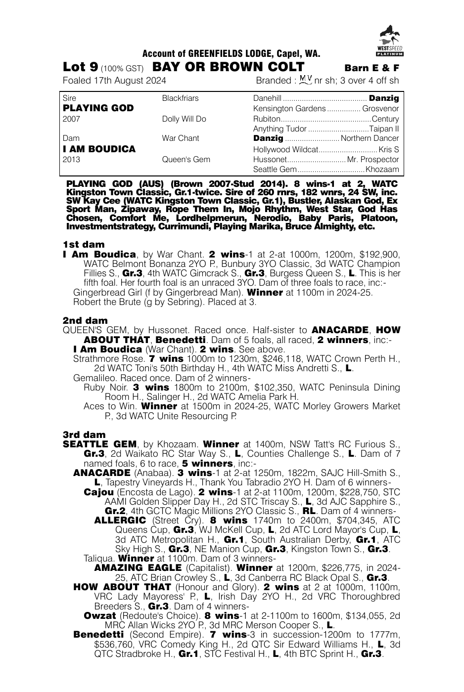 Pedigree - Lot 9