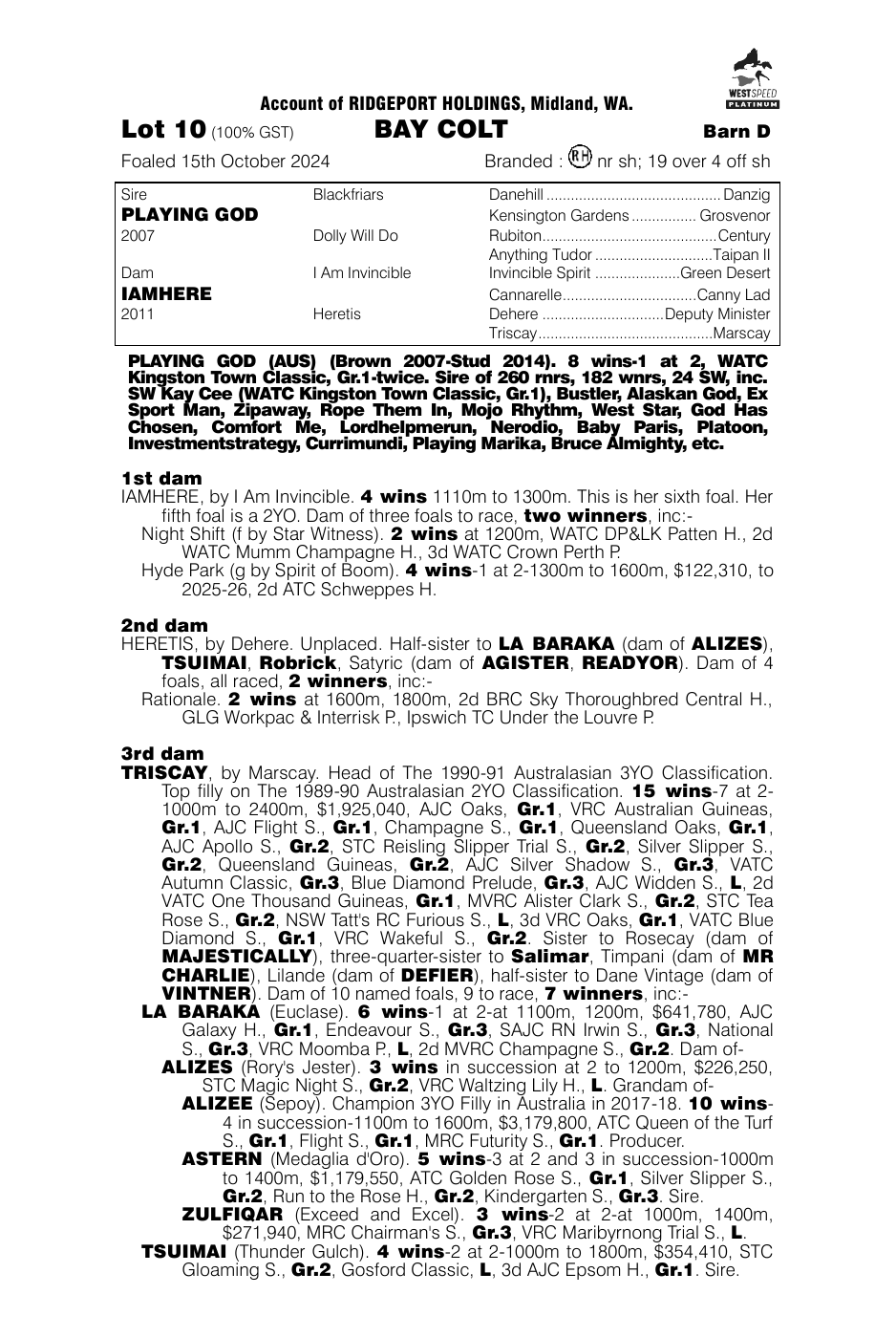 Pedigree - Lot 10
