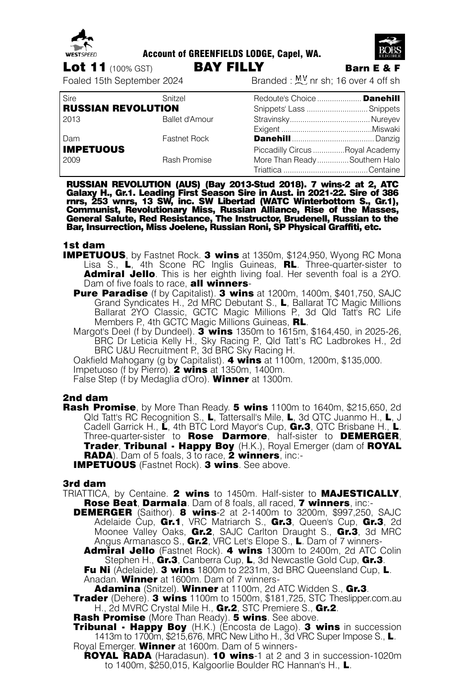 Pedigree - Lot 11