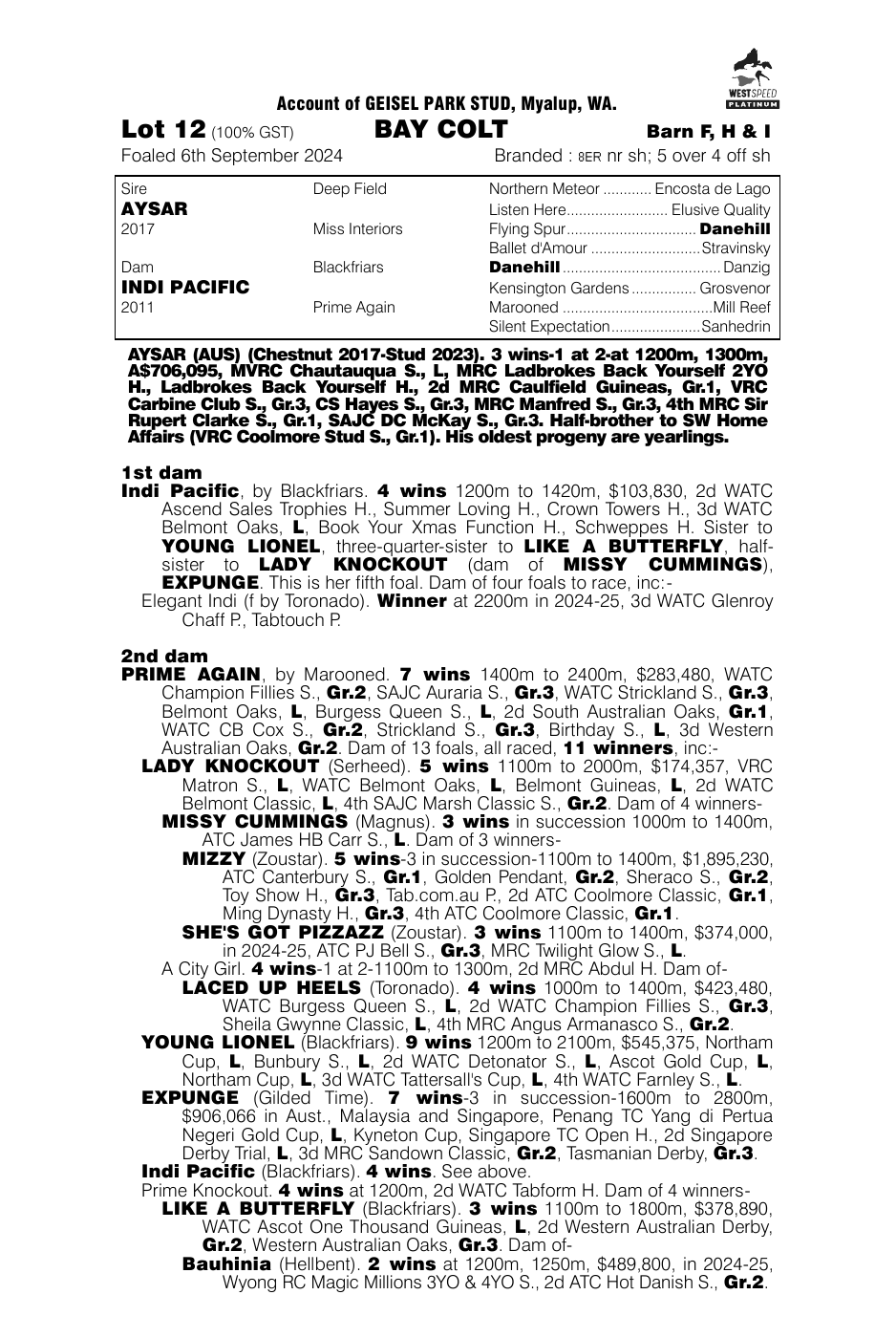Pedigree - Lot 12