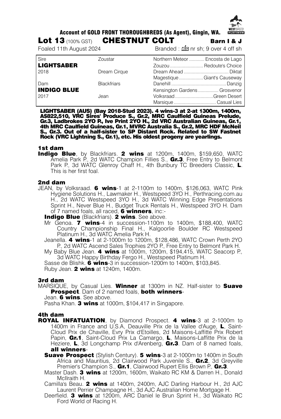 Pedigree - Lot 13