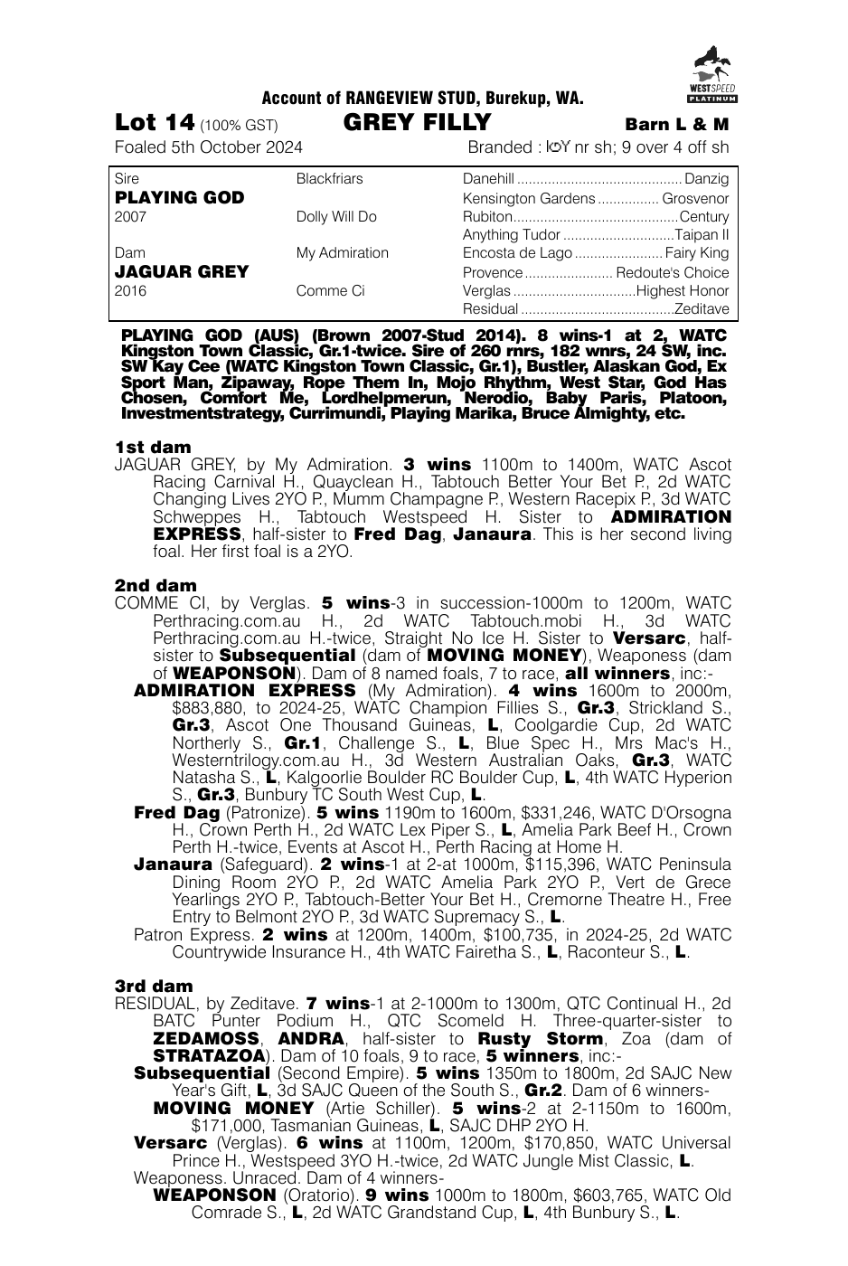 Pedigree - Lot 14