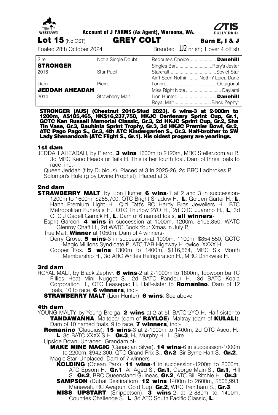 Pedigree - Lot 15