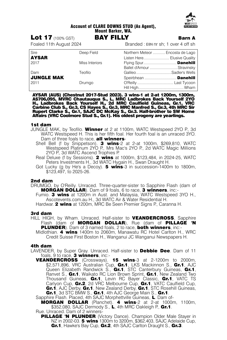 Pedigree - Lot 17