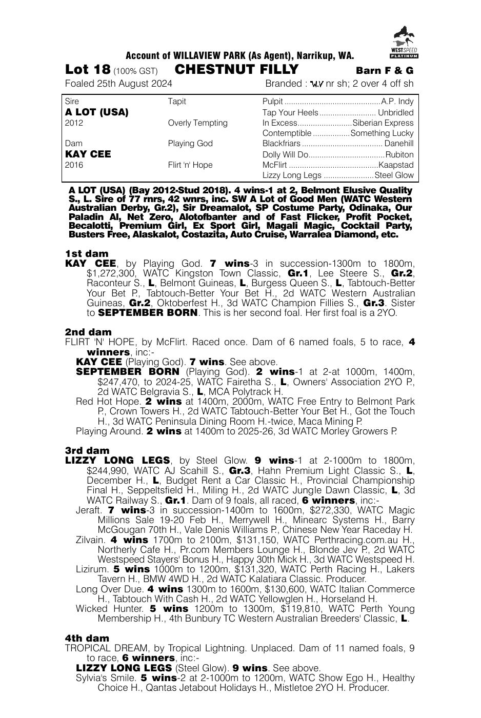 Pedigree - Lot 18