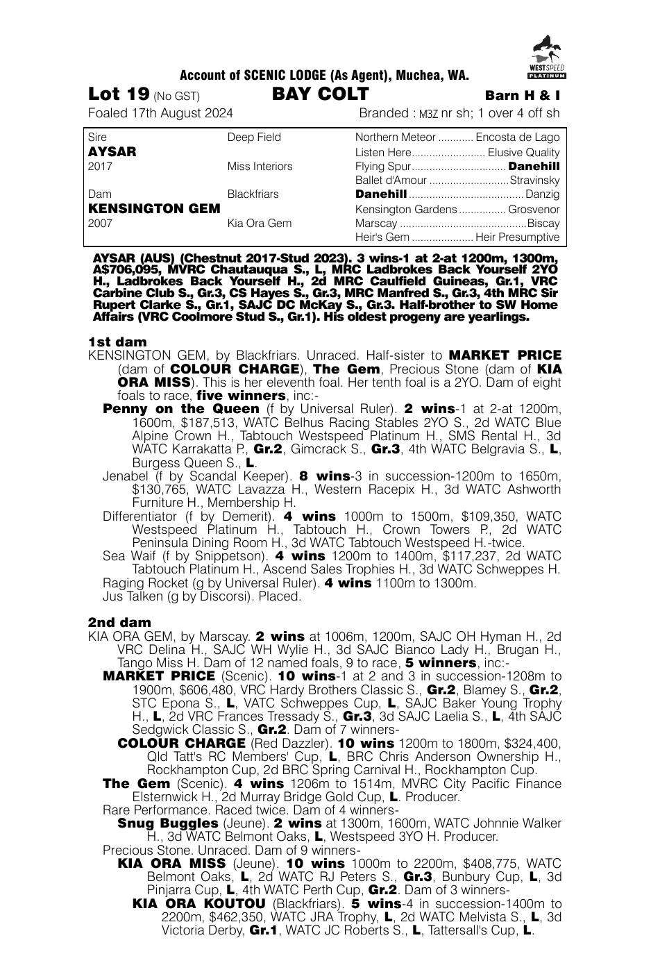 Pedigree - Lot 19