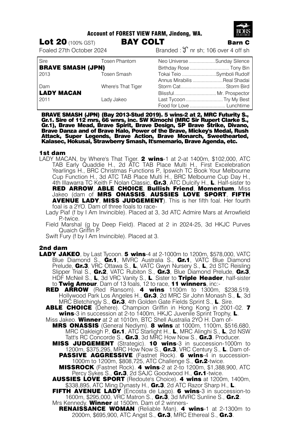Pedigree - Lot 20