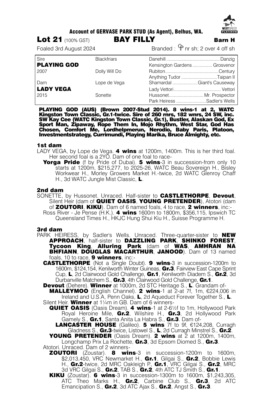 Pedigree - Lot 21