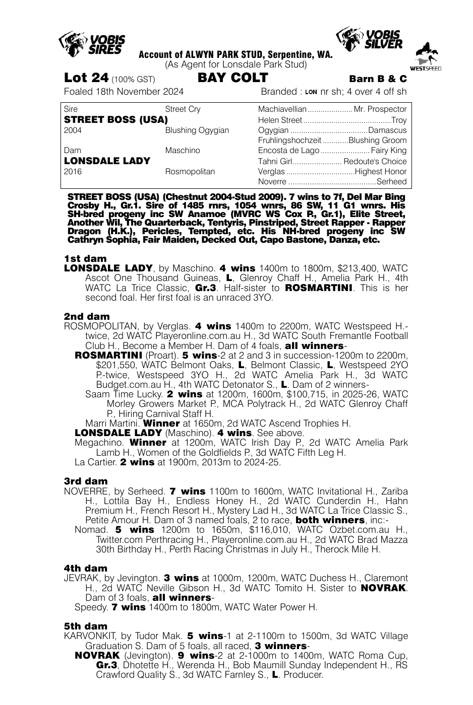 Pedigree - Lot 24