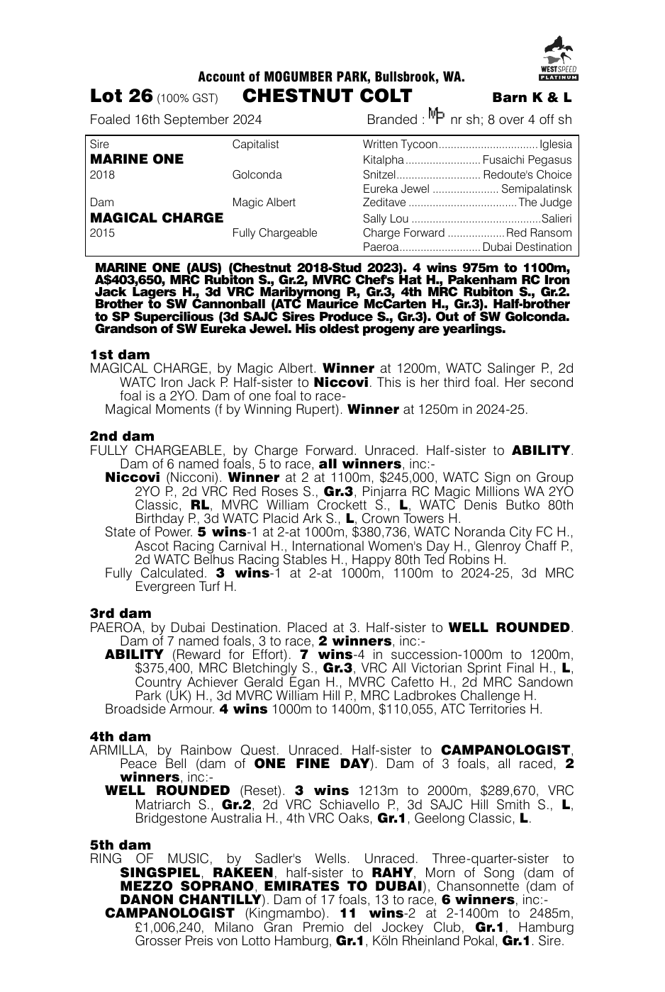 Pedigree - Lot 26
